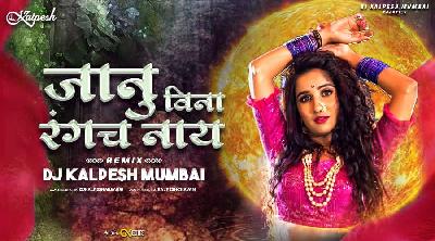 Janu Vina Rang Cha Nay (Remix) DJ Kalpesh Mumbai